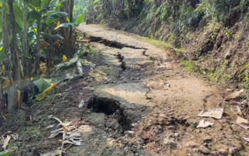Akses Jalan di Desa Mekarmulya Cianjur Rusak Parah Akibat Longsor, Warga Kesulitan Beraktivitas