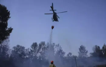 Kebakaran terbesar dalam sejarah Israel hanguskan ribuan hektare lahan. (AP Photo/Ohad Zwigenberg)