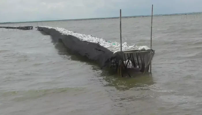 Pagar Laut Misterius di Laut Utara Tangerang: Dampak Negatif Bagi Nelayan dan Ekosistem