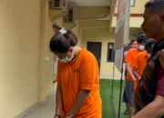 Pihak Kepolisian menangkap wanita berinisial T (21) yang mencuri empat sepeda motor dan ponsel kantor di Cilandak, Jakarta Selatan, karena belum digaji selama tiga bulan, Jakarta, Kamis (22/5/2025). (Antara/Luthfia Miranda Putri)