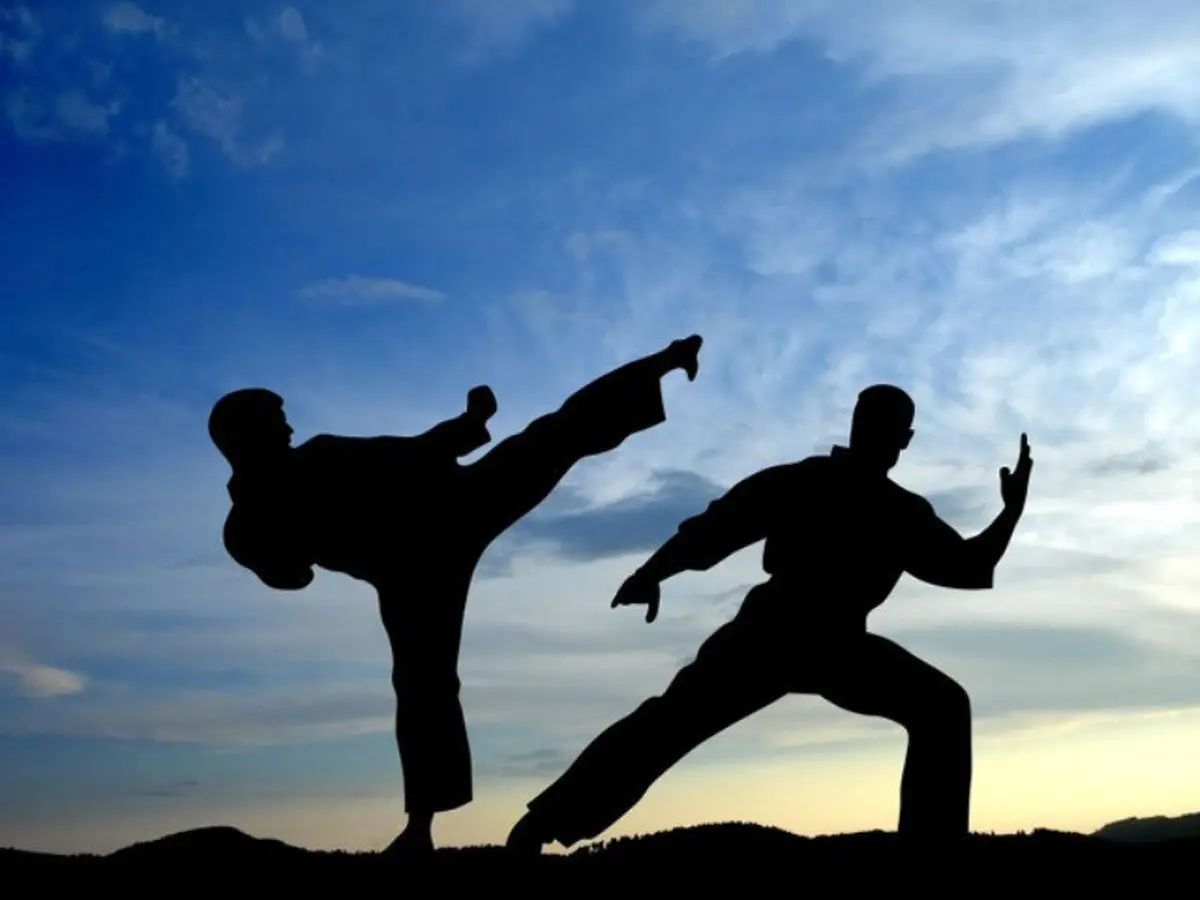 Image Credit Martial Arts - Ilustrasi.