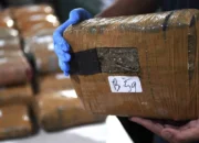 Polda Metro Jaya Ungkap Jaringan Narkoba Sumatera-Jakarta, 34 Kg Ganja Diamankan