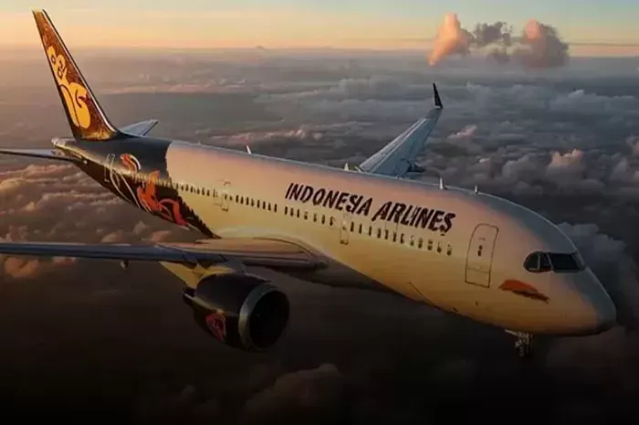 Image Credit Istimewa - CEO Indonesia Airlines binggung maskapai Indonesia bisa rugi dan mengatakan bahwa hanya Indonesia yang disubsidi oleh pemerintah.