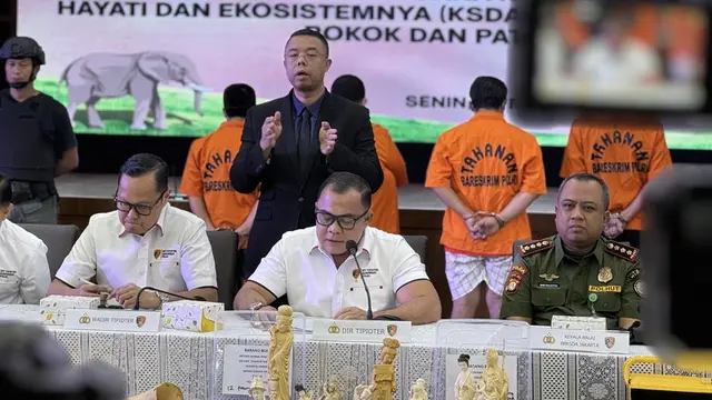 Penyidik Bareskrim Polri membongkar sindikat perdagangan gading gajah di Sukabumi dan Jakarta. Dari tangan empat tersangka, polisi menyita barang bukti gading gajah utuh maupun sudah dibentuk dengan nilai taksiran mencapai Rp2,3 miliar. (Liputan6/Nanda Perdana Putra)