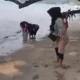 Image Credit Istimewa - Warga menangkap ikan yang berhamburan ke tepi pantai.