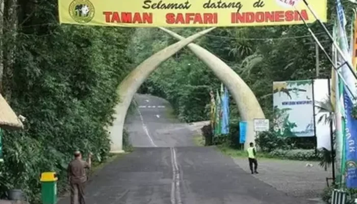 Taman Safari Indonesia Klarifikasi Status Pemain Sirkus OCI dan Mengecam Kekerasan