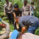 Image Credit Heru Yustanto/Beritasatu - Penemuan mayat tanpa identitas di kebun Kampung Pajagan, Desa Cibunian, Kecamatan Pamijahan Bogor.