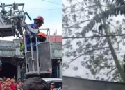 Pria di Medan Tewas Tergantung di Pohon Kapuk, Diduga Tak Mahir Gunakan Chainsaw