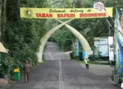Taman Safari Indonesia Klarifikasi Status Pemain Sirkus OCI dan Mengecam Kekerasan
