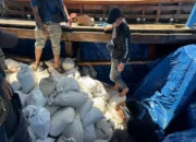 Direktorat Polisi Perairan dan Udara (Ditpolairud) Polda Kepulauan Bangka Belitung berhasil menggagalkan upaya penyelundupan 20 ton pasir timah kering yang akan dikirim ke Malaysia melalui jalur laut di Perairan Bangka Barat, Kamis, 15 Mei 2025. (Beritasatu/Irwan Setiawan)