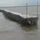 Image Credit Wawan Kurniawan/Beritasatu - Pagar bambu sepanjang 30 kilometer di laut utara Kabupaten Tangerang dikeluhkan nelayan karena mengganggu aktivitas mereka mencari ikan.