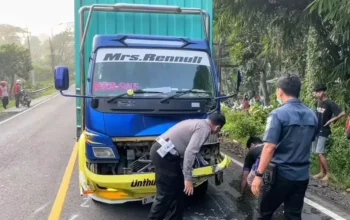 Kecelakaan Maut di Ngawi: Pemudik Tewas Usai Sepeda Motor Tabrak Truk
