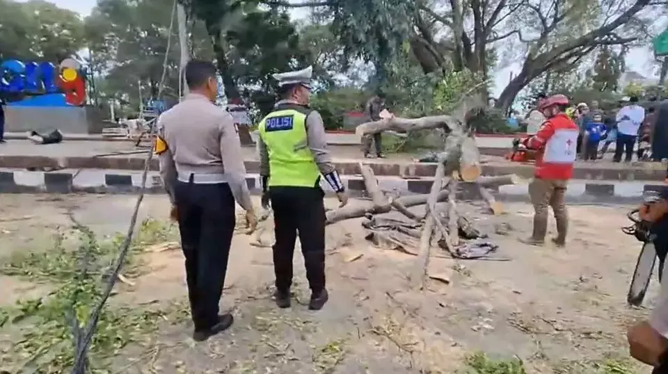 Image Credit Istimewa - Petugas sedang memotong batang pohon beringin yang tumbang hingga menimpa jemaah salat Id di Alun-alun Pemalang, Jawa Tengah, Senin (31/2/2025).
