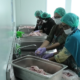 Image Credit Priyo Budi Santoso/Beritasatu - SPPG Kota Magelang mulai mempersiapkan bahan baku untuk program makan bergizi gratis (MBG) yang menyasar 3.000 pelajar dari PAUD hingga SMA di 16 lokasi.