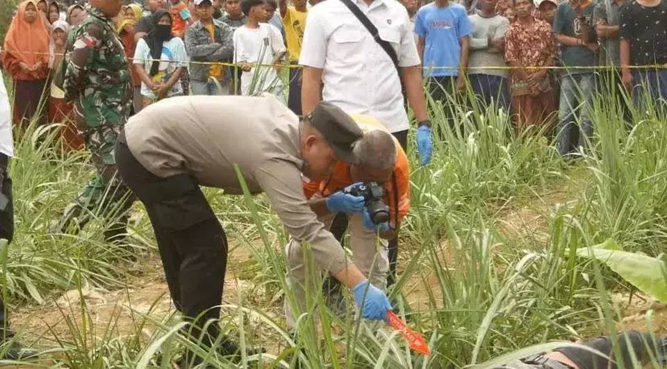 Image Credit Rifqi Danwanus/Beritasatu - Polisi melakukan olah tempat kejadian perkara kasus jasad penuh luka bacok di ladang tebu di Lumajang, Senin 25 November 2024.