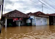 Banjir Parah Rendam Cirebon: Ribuan Rumah Terendam, Aktivitas Warga Lumpuh