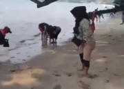 Fenomena Langka di Pantai Carita: Ikan-Ikan Mendarat ke Pesisir Jadi Rebutan Warga