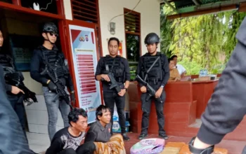 Penangkapan Mobil Boks Pembawa 500 Kg Ganja di Pasaman Barat: Kronologi dan Fakta Lengkap