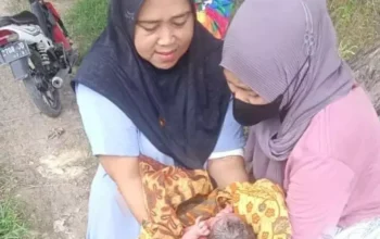 Petani Gresik Temukan Bayi Dibuang di Lahan Kosong, Polisi Lakukan Penyidikan