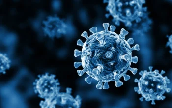 Image Credit Unsplash - Corona Virus Ilustrasi.
