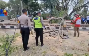 Tragedi Idulfitri di Pemalang: Dua Jemaah Meninggal Akibat Pohon Beringin Tumbang