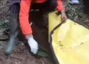 Gadis Penjual Gorengan di Padang Pariaman Ditemukan Tewas Terkubur Tanpa Busana