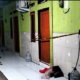 Lokasi ditemukannya jasad seorang wanita muda dengan sejumlah luka sayatan di sebuah kamar transit di Kampung Cibuntu Asem, Desa Cibuntu, Cibitung, Bekasi, Minggu, 27 April 2025. (Beritasatu/Eka Jaya Saputra)