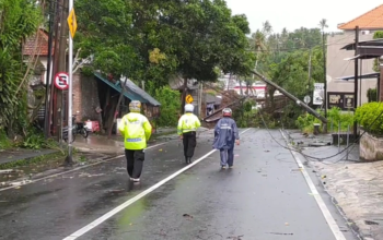 Hujan dan Angin Kencang di Bali Sebabkan Pohon Tumbang, Lalu Lintas Lumpuh