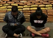 Polda Metro Jaya Gagalkan Penyelundupan 143 Kg Ganja di Tangerang, Dua Pelaku Diamankan