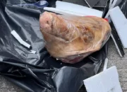 Komite Keselamatan Jurnalis Laporkan Teror Kepala Babi ke Mabes Polri