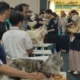Image Credit Febri Nugroho / Tirto.id - Komunitas kompetisi (cat show) cattery hingga cinta & dedikasi di balik hobi unik ini.