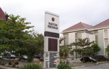 Polemik Ijazah Jokowi: UGM Tanggapi Gugatan Perdata Rp69 Triliun