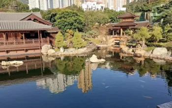 Melarikan Diri ke Kedamaian Nan Lian Garden: Oasis Taman Tradisional di Tengah Keramaian Hong Kong