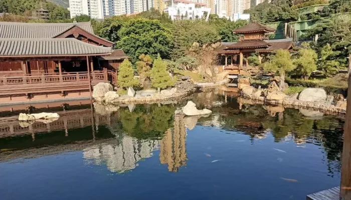 Melarikan Diri ke Kedamaian Nan Lian Garden: Oasis Taman Tradisional di Tengah Keramaian Hong Kong