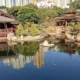 Melarikan Diri ke Kedamaian Nan Lian Garden: Oasis Taman Tradisional di Tengah Keramaian Hong Kong