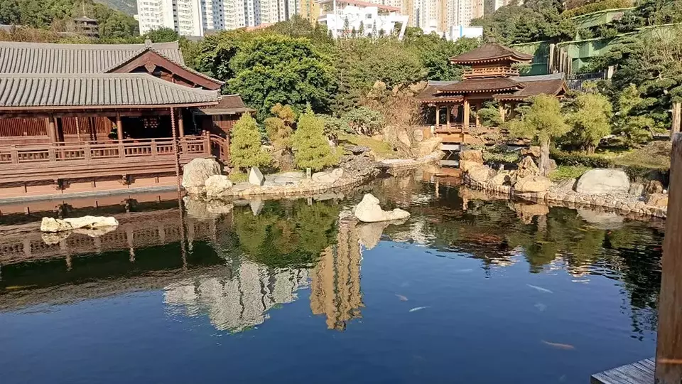 Image Credit Thomas Rizal/Beritasatu - Song Cha Xie, Nan Lian Garden, Hong Kong.