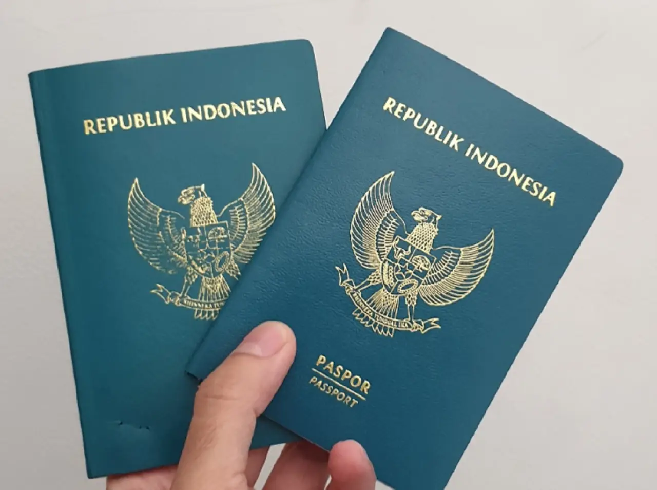 Image Credit X/@gembrit - Negara Eropa yang Bebas Visa untuk Paspor Indonesia Tahun 2025.