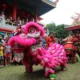 Image Credit HO/Antara - Pertunjukan barongsai di Taman Mini Indonesia Indah (TMII). Pengelola TMII mengadakan Festival Pecinan sejak 24 Januari 2025 hingga 2 Februari 2025 guna memeriahkan perayaan Tahun Baru Imlek 2576 Kongzili.