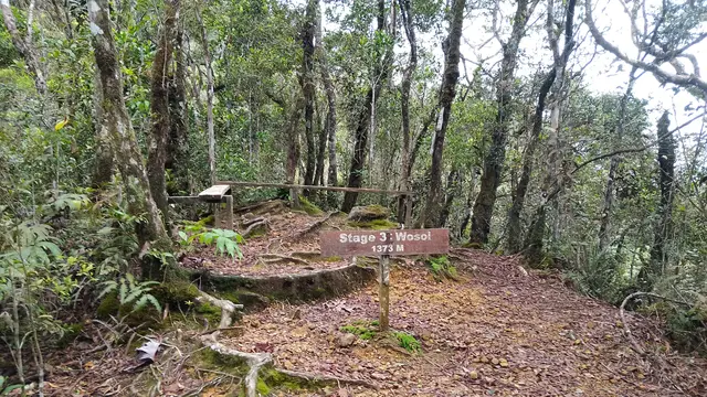 068153900 1744478247 Gunung Nungkok jalur pendakian