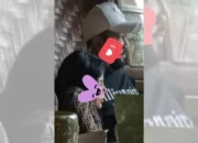 Pengakuan Dinar Candy yang Diduga Berselingkuh dengan Mr J, Ko Apex Cemburu