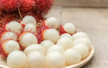 Image Credit Freepik - Buah Rambutan.