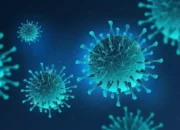 Virus Human Metapneumovirus Tidak Berpotensi Jadi Pandemi, IDI Tegaskan Situasi Masih Terkendali