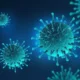 Virus Human Metapneumovirus Tidak Berpotensi Jadi Pandemi, IDI Tegaskan Situasi Masih Terkendali