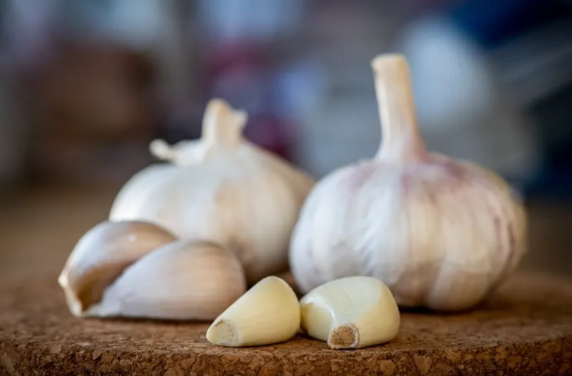 Image Credit Wirestock - Bawang Putih.