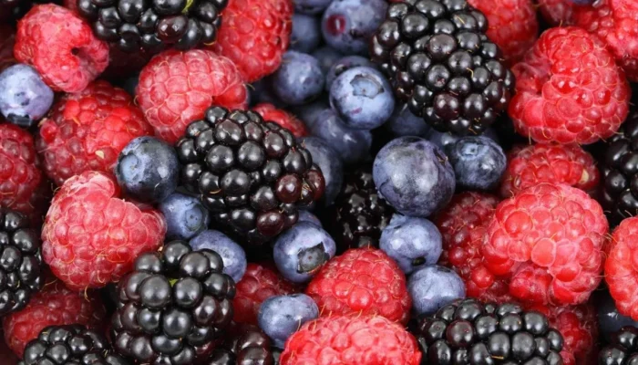 Konsumsi Makanan Kaya Flavonoid Bisa Turunkan Risiko Penuaan Tidak Sehat