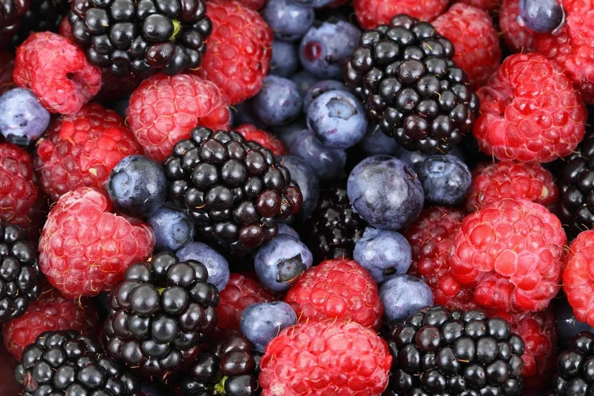 Ilustrasi buah berry yang kaya kandungan flavonoid. (Pixabay)