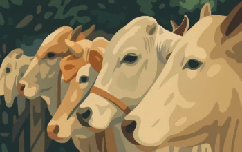Kurban dengan Hewan Jantan atau Betina? Ini Penjelasan Lengkapnya