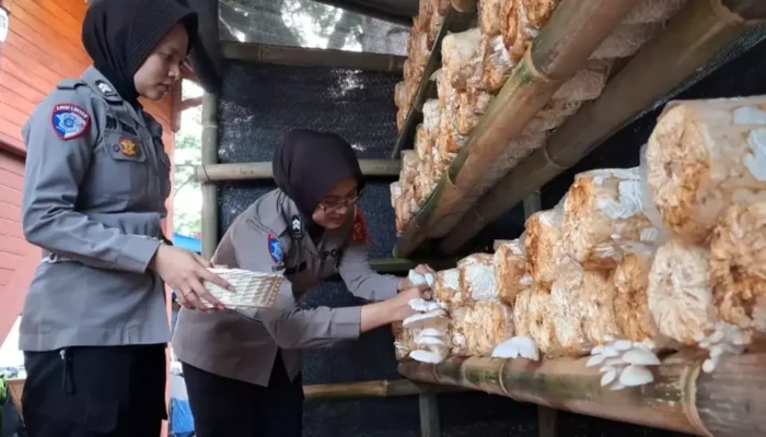 Inovasi Posko Mudik Nataru Polres Karawang: Usung Konsep Ketahanan Pangan untuk Kenyamanan Pemudik