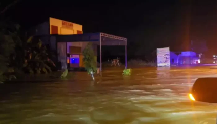 Tanggul Jebol, Banjir Meluas di Grobogan: 48 Desa Terendam, Ratusan Warga Mengungsi