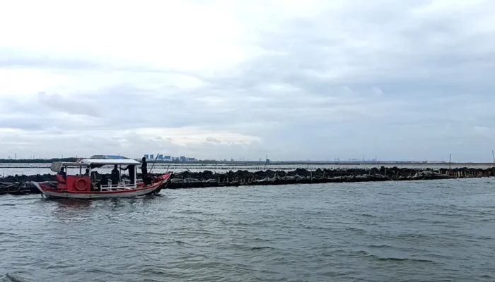 PT TRPN Siap Bongkar Pagar Laut Bekasi, Khawatirkan Dampak Pendangkalan